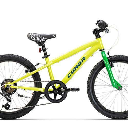 BICI CONOR GALAXY 20" Steel